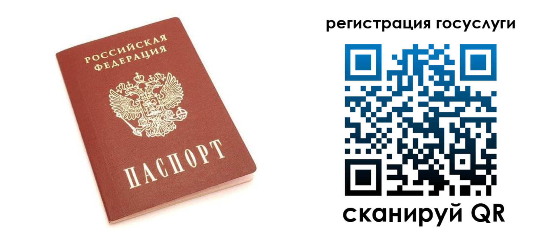 временная регистрация госуслуги в Щёлково